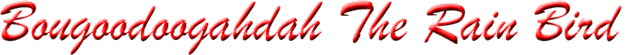 Bougoodoogahdah The Rain Bird