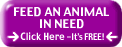 Feed an animal in need