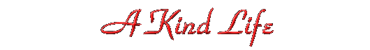 A Kind Life
