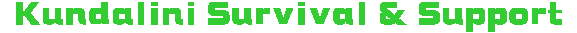 Kundalini Survivial & Support